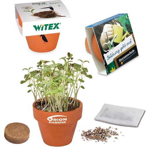 Mini logo-pot paper band with seeds - Cress
