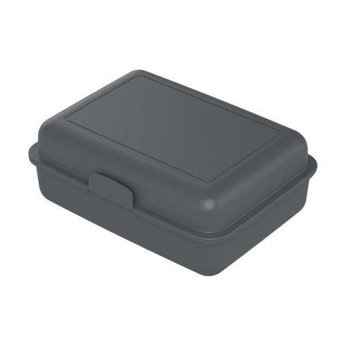 lunch box lunch box