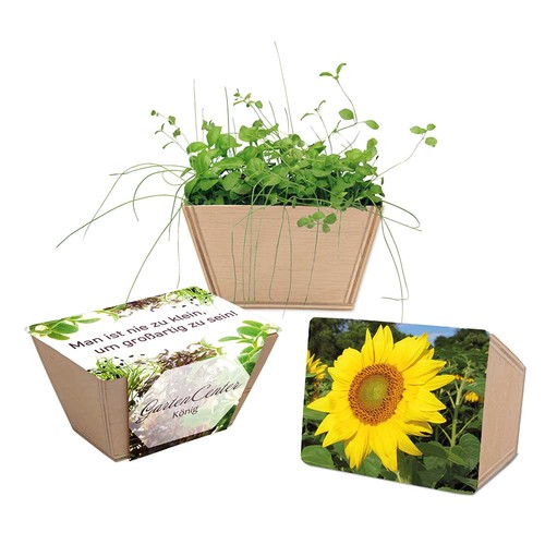 Mini-jardinière bois avec graines - Tournesol