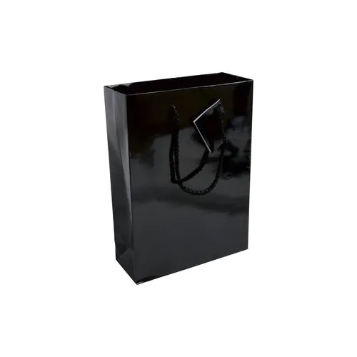 157 g/m2 laminated paper shopping bag with gusset and bottom reinforcement, string handles