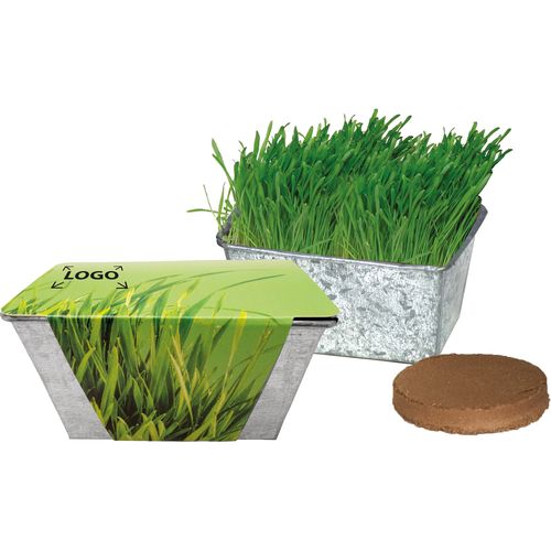 Zinc Box Cat Grass