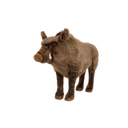 Peluche Peluche