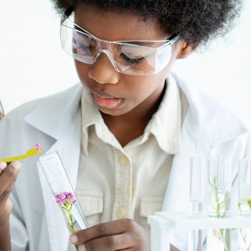 Perfume & Soap Factory Kit I. Educational game for children Perfume & Soap Factory Kit I. Educational game for children