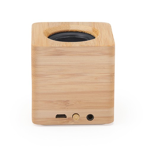 Speaker Gentile