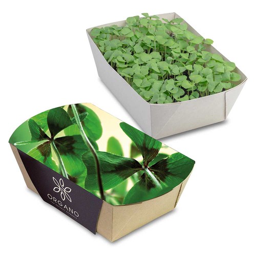 Jardinière en papier bambou avec graines - Bulbes de trèfle à 4 feuilles Jardinière en papier bambou avec graines - Bulbes de trèfle à 4 feuilles