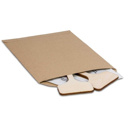 Ensemble de plantes - Lot de 3 - combinaison gratuite