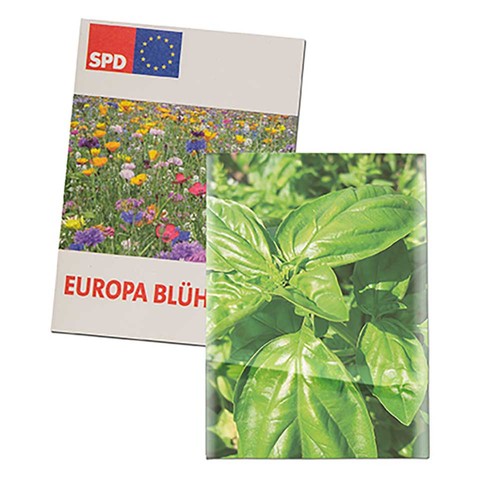 erbe aromatiche erbe aromatiche