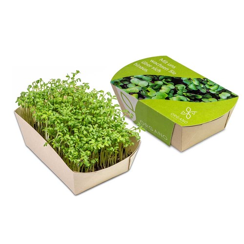 Microgreens-Garden - Cress