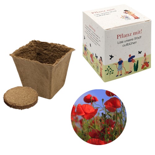 Cube-plantset (groot) - Klaproos Cube-plantset (groot) - Klaproos