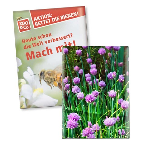 erbe aromatiche erbe aromatiche