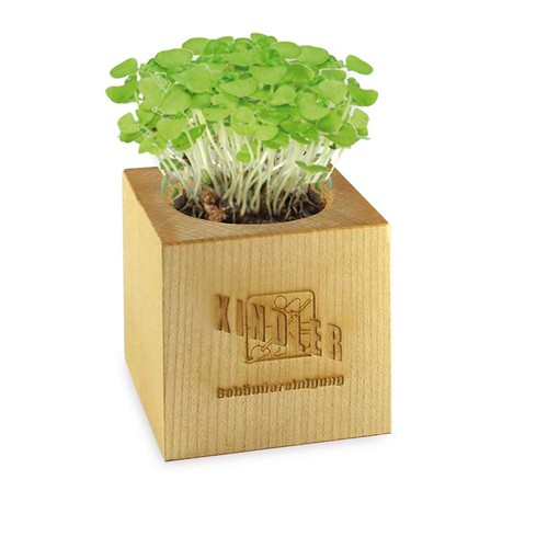 cubo publicitario cubo publicitario