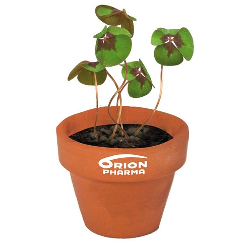 Mini Pot en terre cuite sous pochette avec graines - Four-leaf clover Mini Pot en terre cuite sous pochette avec graines - Four-leaf clover