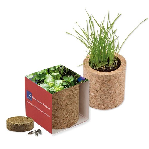 Pot rond en liège avec graines - Mélange d'herbes aromatiques