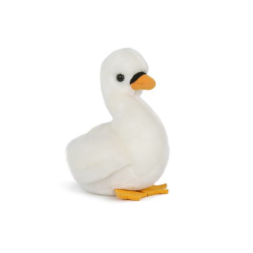 peluche