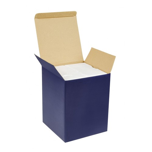 CARROUSEL ENFANT BLEU CIEL CARROUSEL ENFANT BLEU CIEL