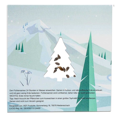 Carte avec papier de graines d'épicéa Carte avec papier de graines d'épicéa