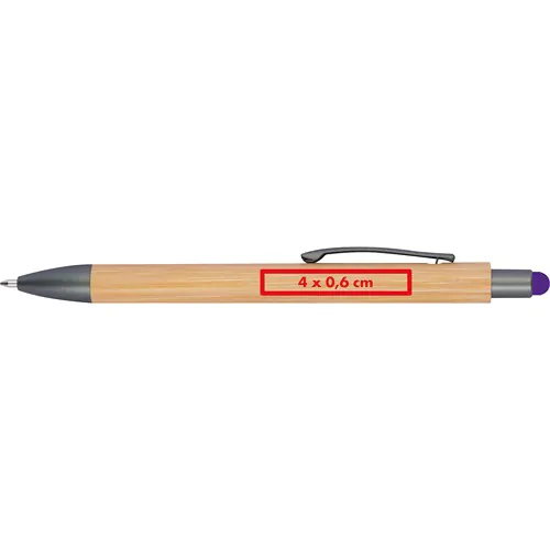 Ballpen with bamboo coating Ballpen with bamboo coating