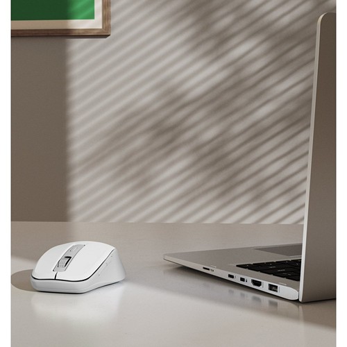Souris sans fil Hama WM-450