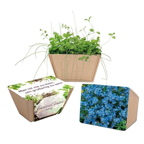 Mini-jardinière bois avec graines - Myosotis