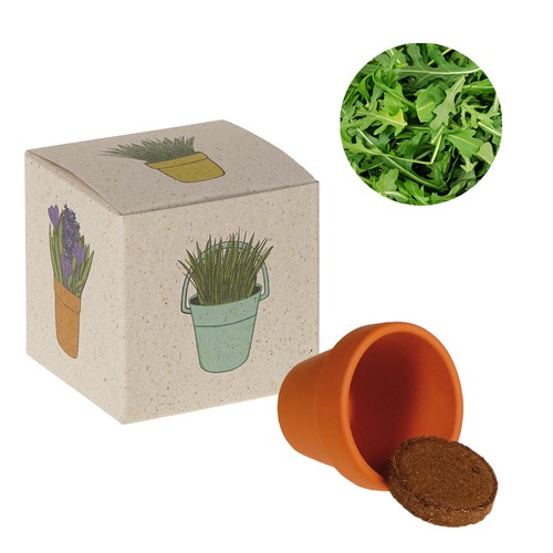 Cube de graines promotionnel (papier d'herbe) - Roquette