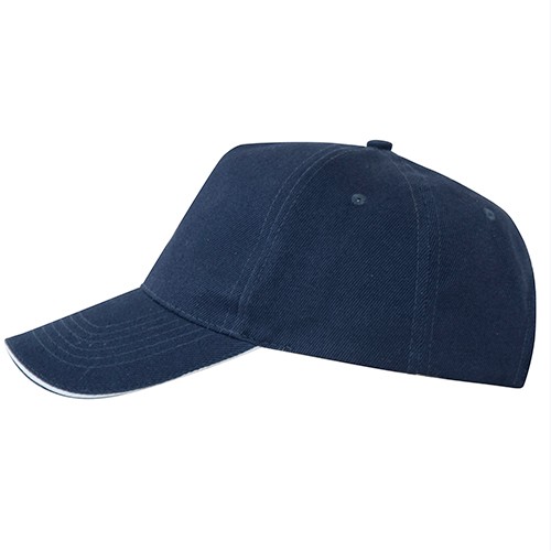 5 panels cap. ERIS