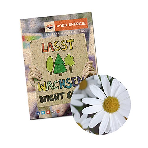 Zaadzakjes mini graspapier - Margriet Zaadzakjes mini graspapier - Margriet