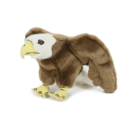 Aigle 30 cm