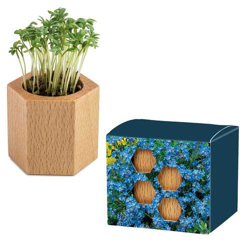 semillas semillas