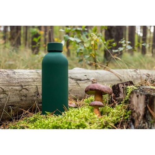 Bouteille isotherme 500 ml | Terryl