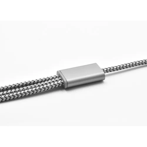 BrandCharger Trident 2 + câble de charge