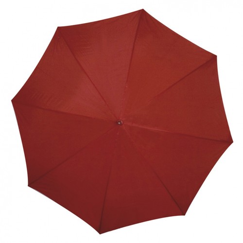 Automatic umbrella