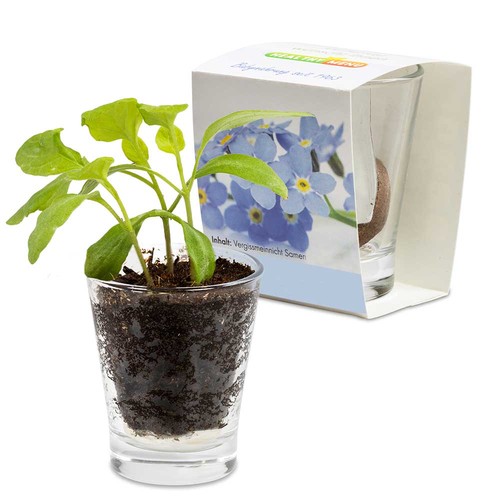 Caffeino-Glass with seeds - Herb-mixture