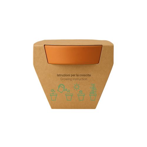 Maceta de terracota natural con turba y cápsula biodegradable con semillas
