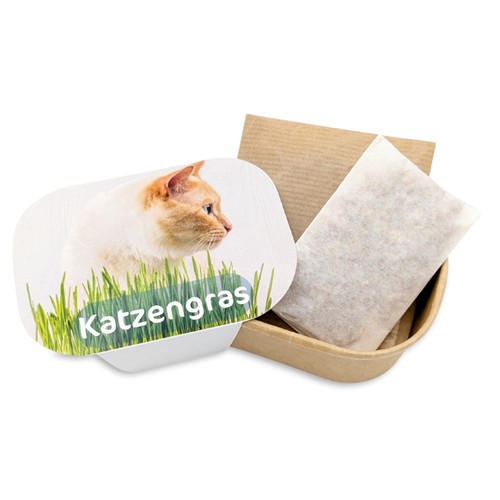 Cat grass planting kit - Cat grass