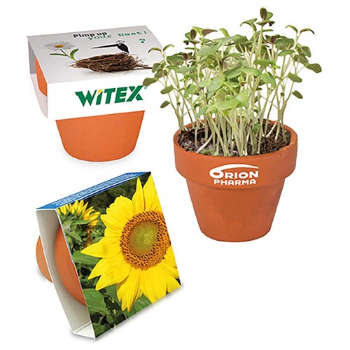 Mini pot terre cuite avec graines - Tournesol
