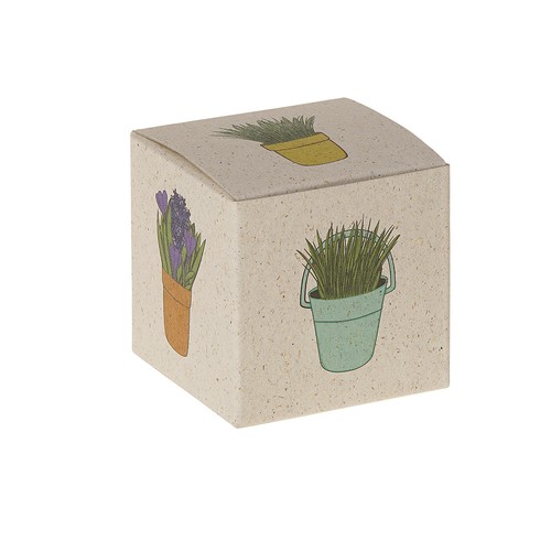 Cube de graines promotionnel (papier d'herbe) - Bleuet Cube de graines promotionnel (papier d'herbe) - Bleuet