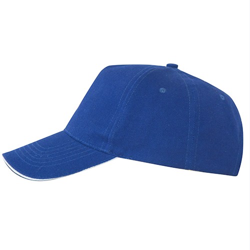 5 panels cap. ERIS