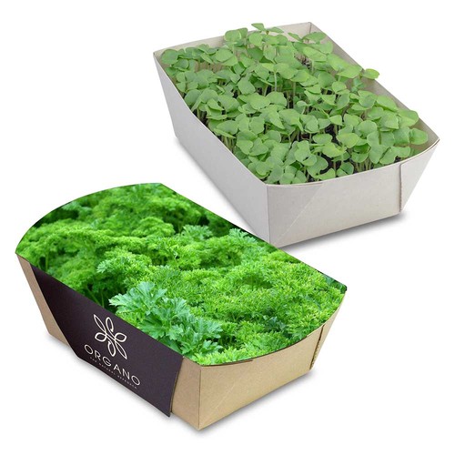 erbe aromatiche erbe aromatiche
