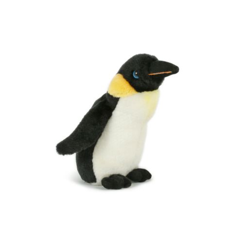 Peluche Peluche