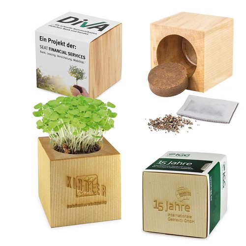 Pot cube bois maxi avec graines - Piment Pot cube bois maxi avec graines - Piment