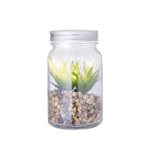 Planta Decorativa Kyala Planta Decorativa Kyala