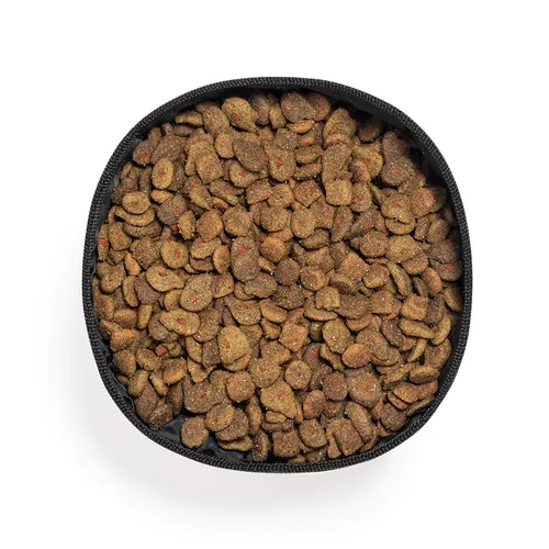 Foldable Bowl Poppy Foldable Bowl Poppy