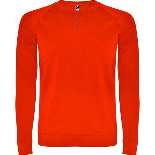 bluza