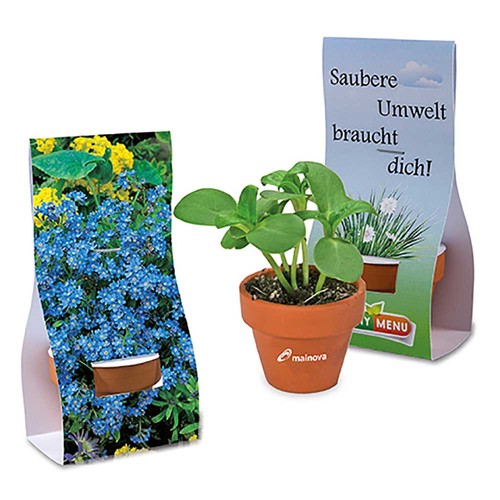 Mini pot terre cuite sous pochette - Myosotis
