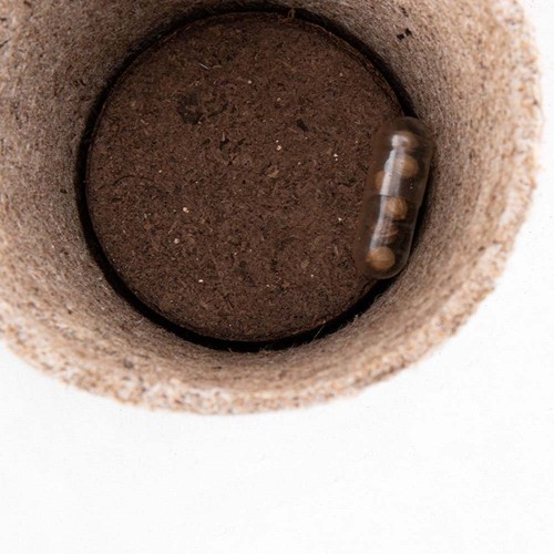 FLOWERPOT CERES FLOWERPOT CERES