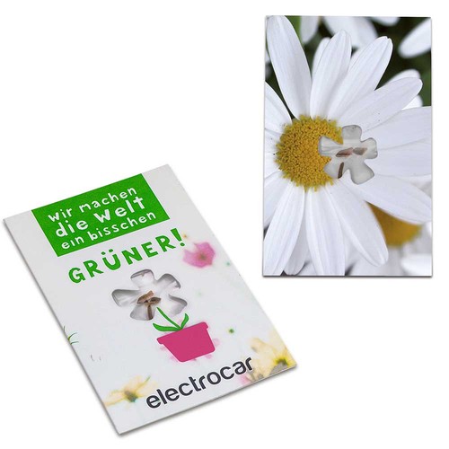 Carte avec graines-mini fleur - Marguerite Carte avec graines-mini fleur - Marguerite
