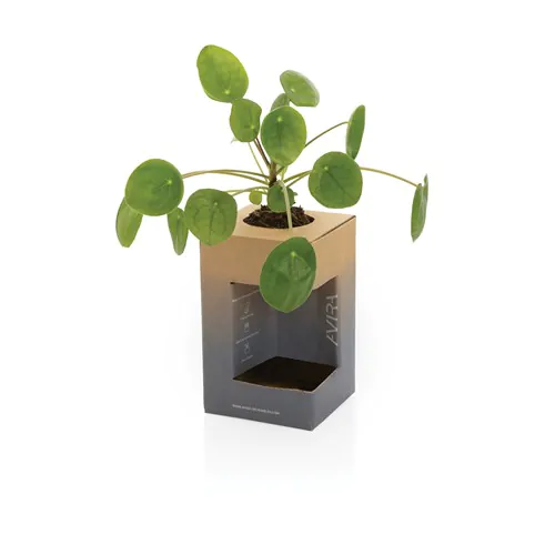 Avira Alya RCS gerecycled roestvrijstalen beker 300ML Avira Alya RCS gerecycled roestvrijstalen beker 300ML