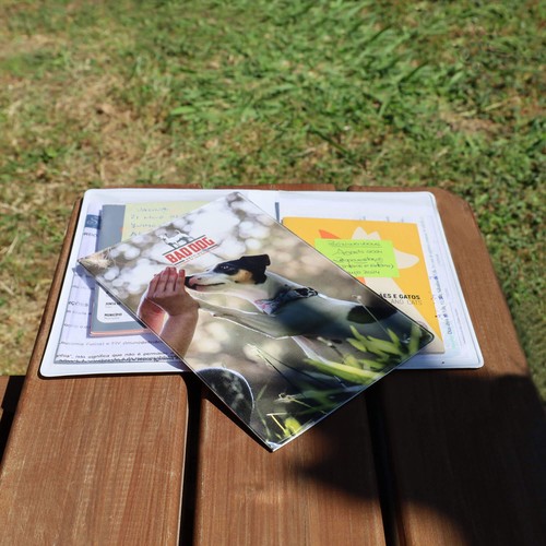 CUSTOMIZABLE VACCINE BULLETIN HOLDER