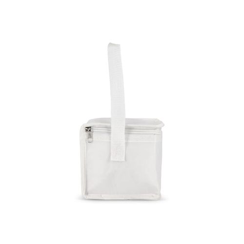 R-PET 6 Sac isotherme non tissé 20x 13 x 12.5cm 75g/m²