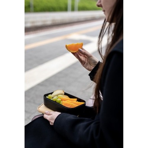 contenitore per il pranzo contenitore per il pranzo